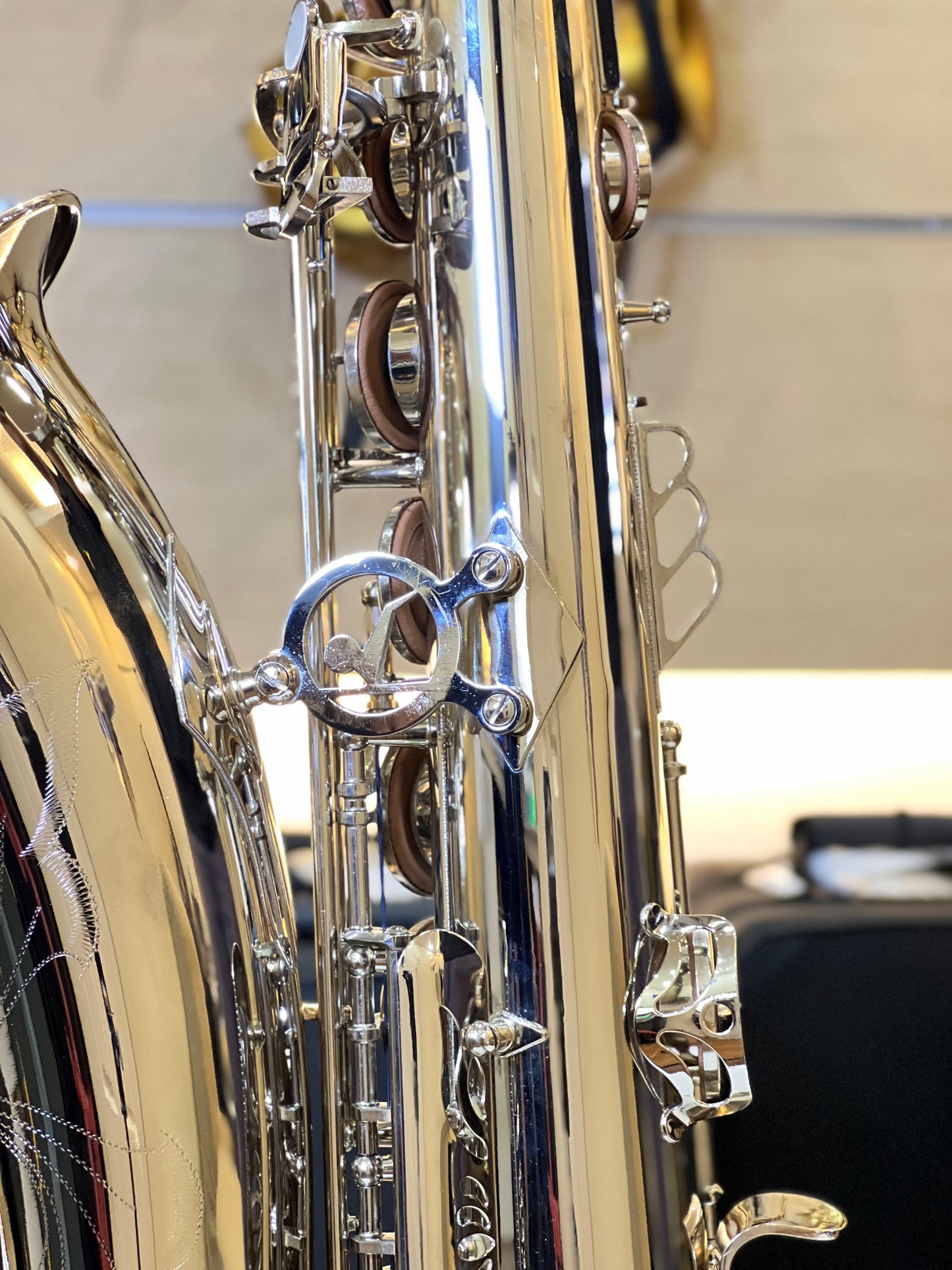 Kaihip Tenor Saxophone - Nickel Silver