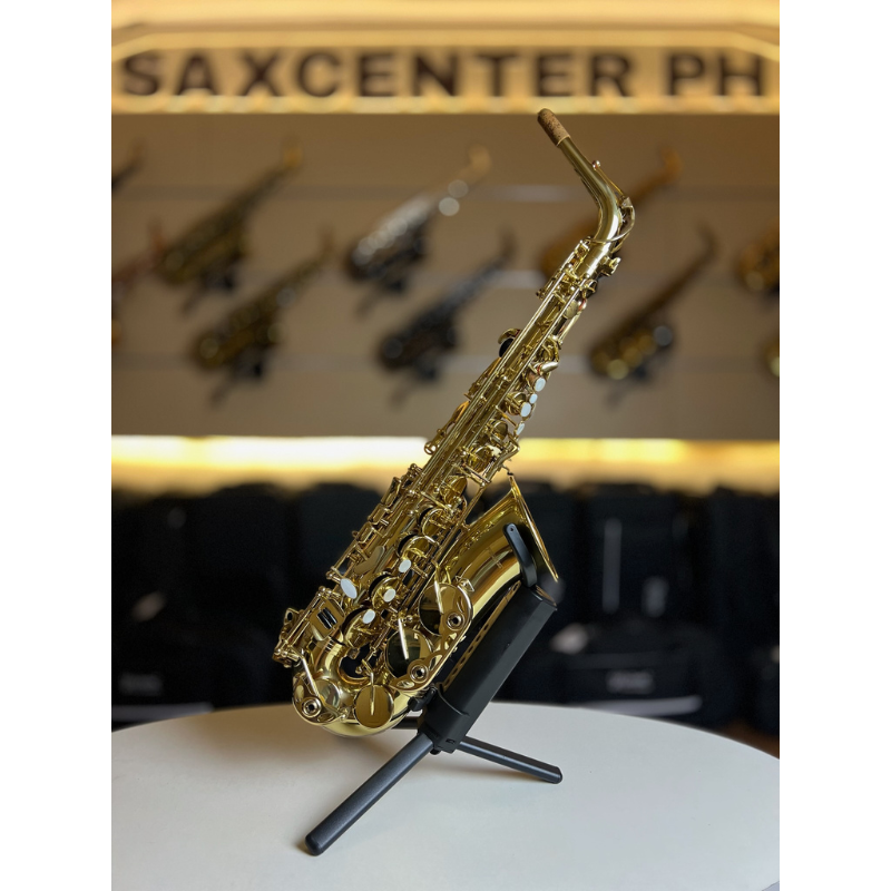 Fernando Alto Saxophone - Made in China