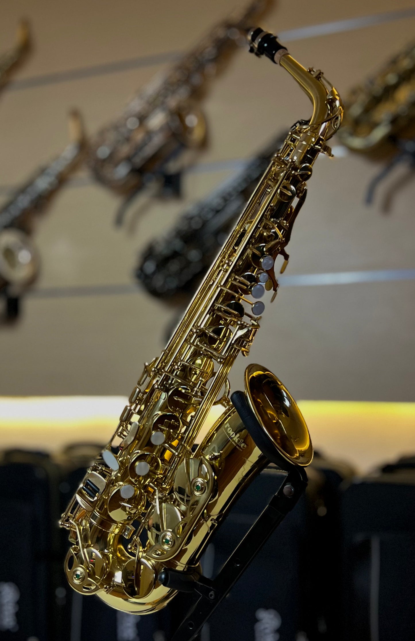 Rookie Alto Saxophone - Classic Finish