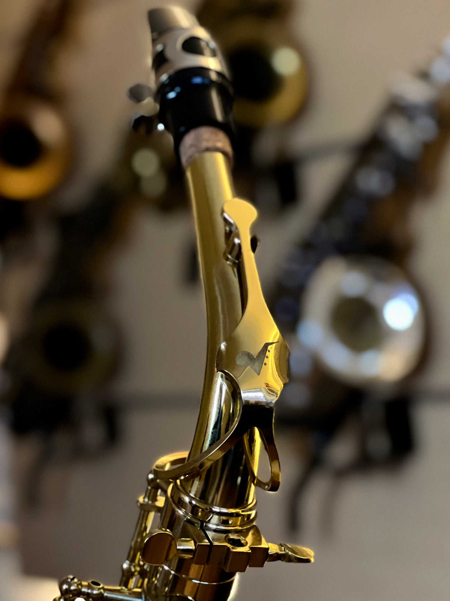 Rookie Alto Saxophone - Classic Finish
