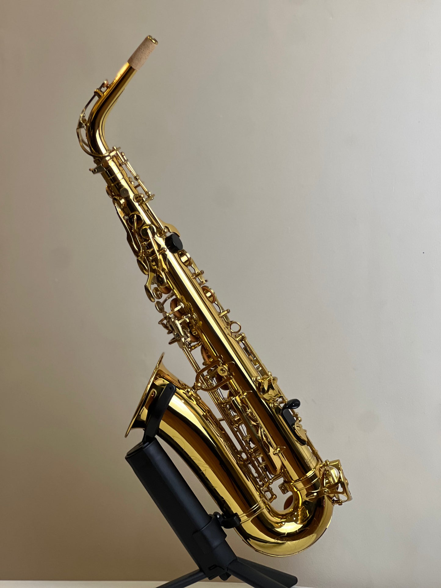 Rivera R62 Alto Saxophone - Gold/ Classic Finish