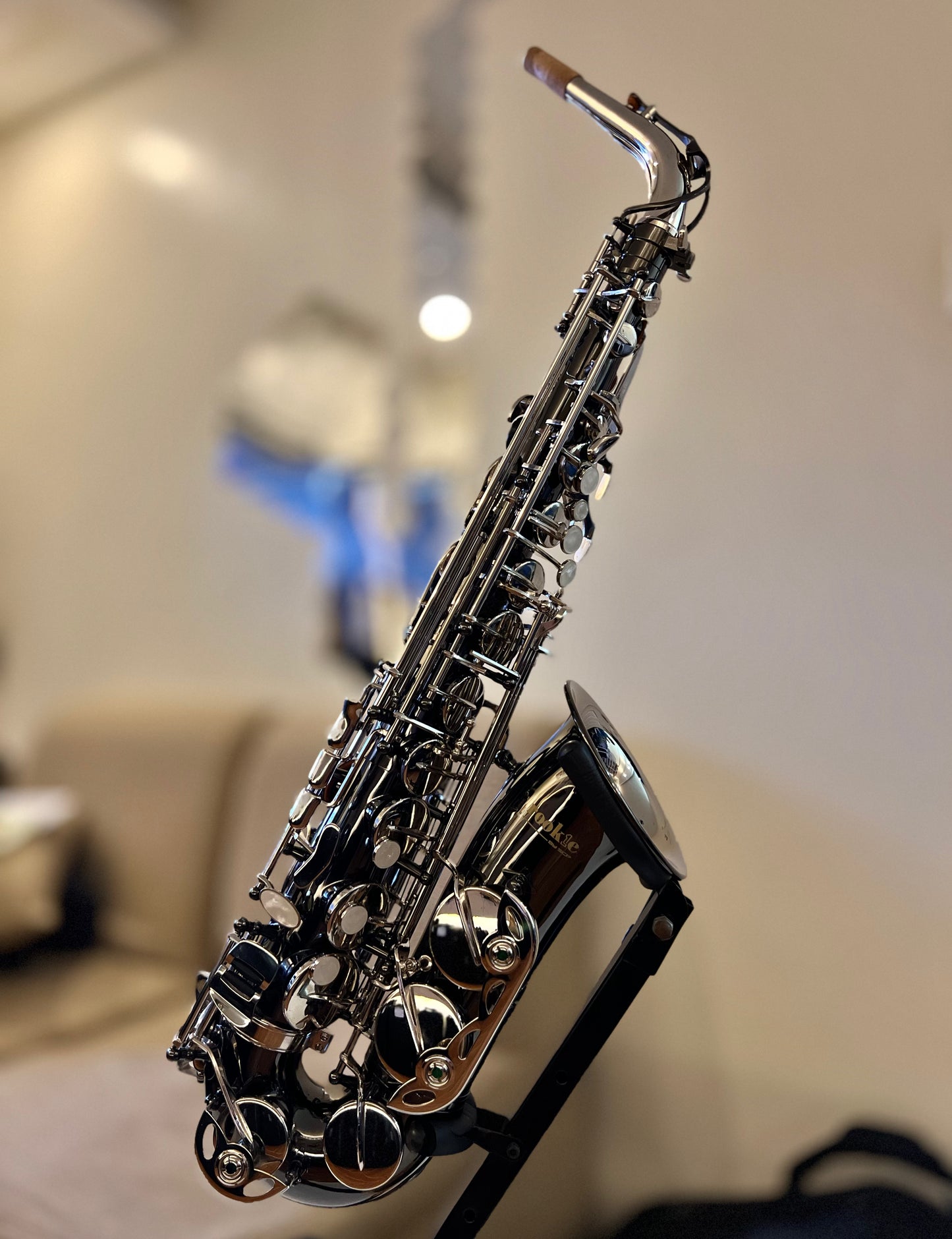 Rookie Alto Saxophone - Black & Nickel Silver Finish