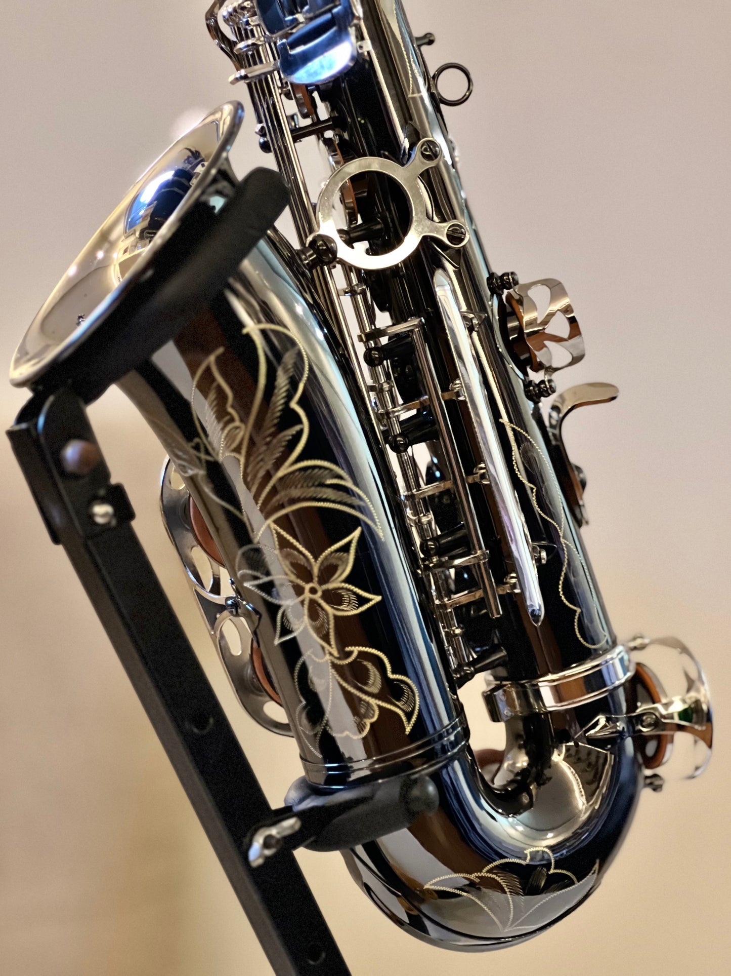 Rookie Alto Saxophone - Black & Nickel Silver Finish