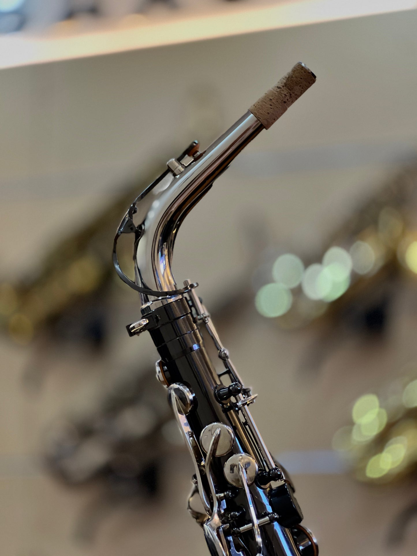 Rookie Alto Saxophone - Black & Nickel Silver Finish