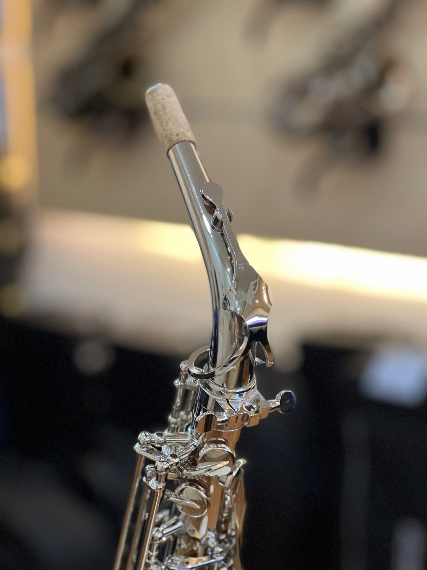 Rookie Alto Saxophone - Nickel Silver Finish