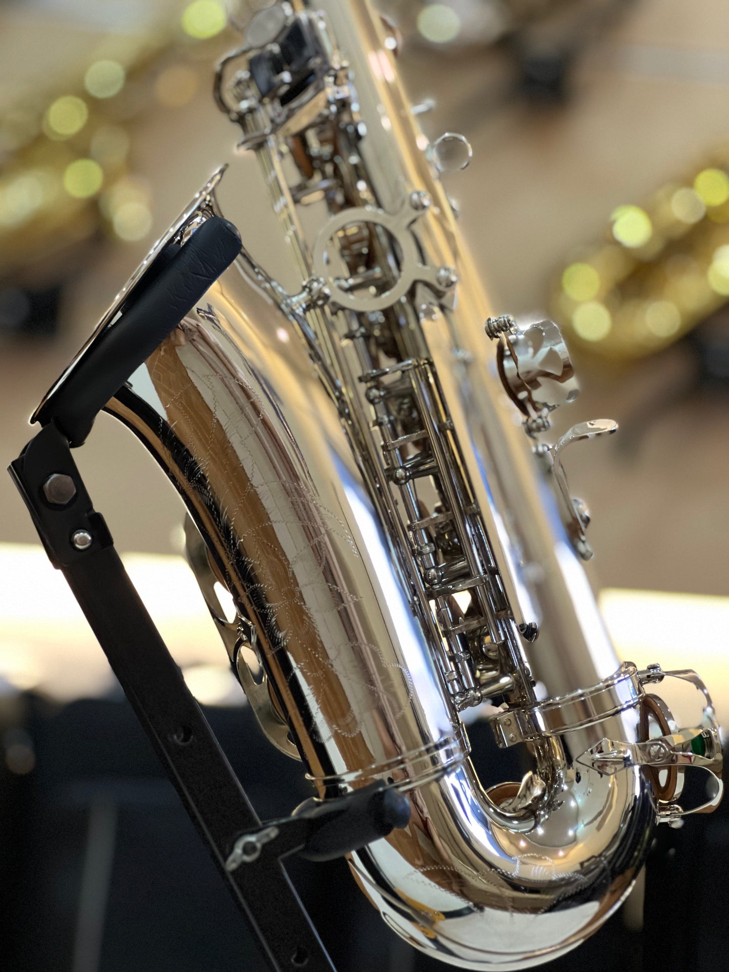 Rookie Alto Saxophone - Nickel Silver Finish
