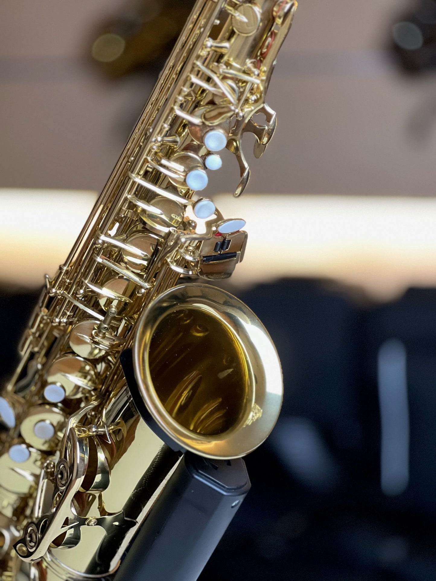 Fernando Alto Saxophone - Made in China