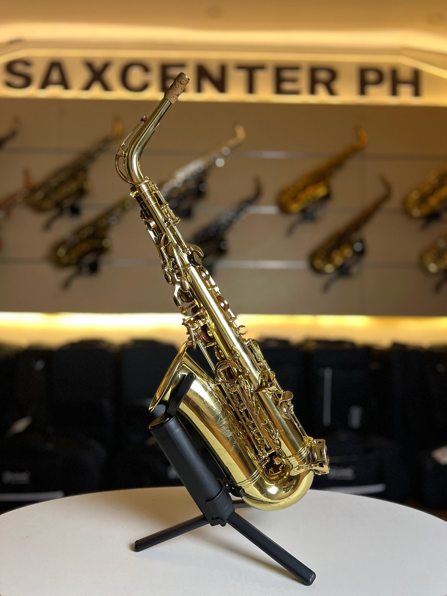 Fernando Alto Saxophone - Made in China