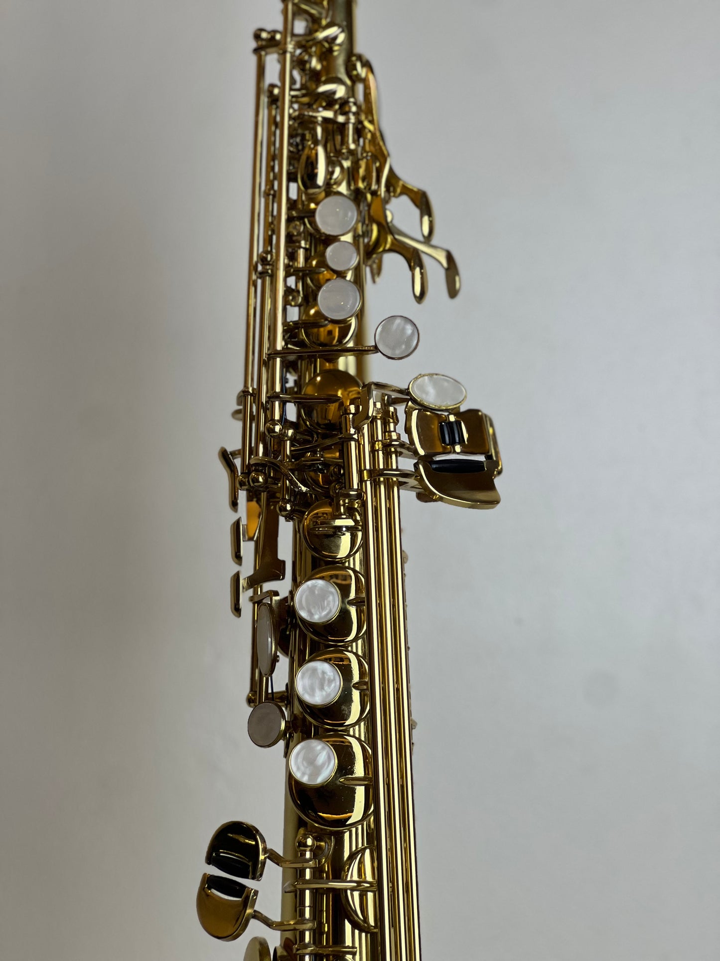 Rookie Straight Soprano Saxophone - Classic Finish