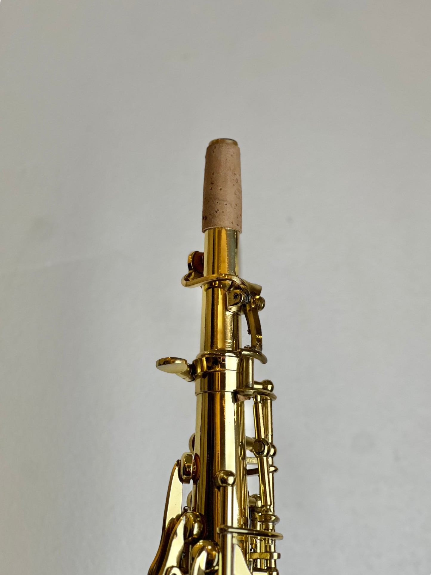 Rookie Straight Soprano Saxophone - Classic Finish
