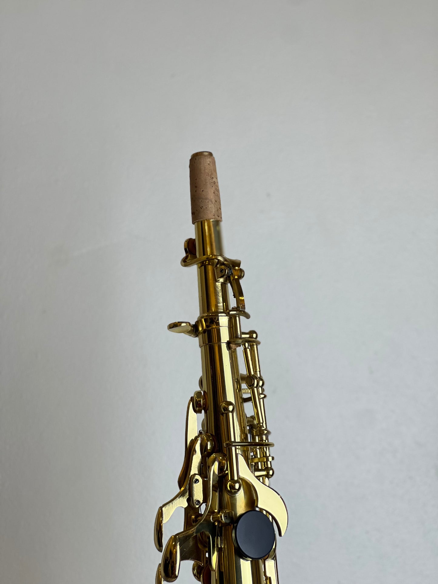 Rookie Straight Soprano Saxophone - Classic Finish