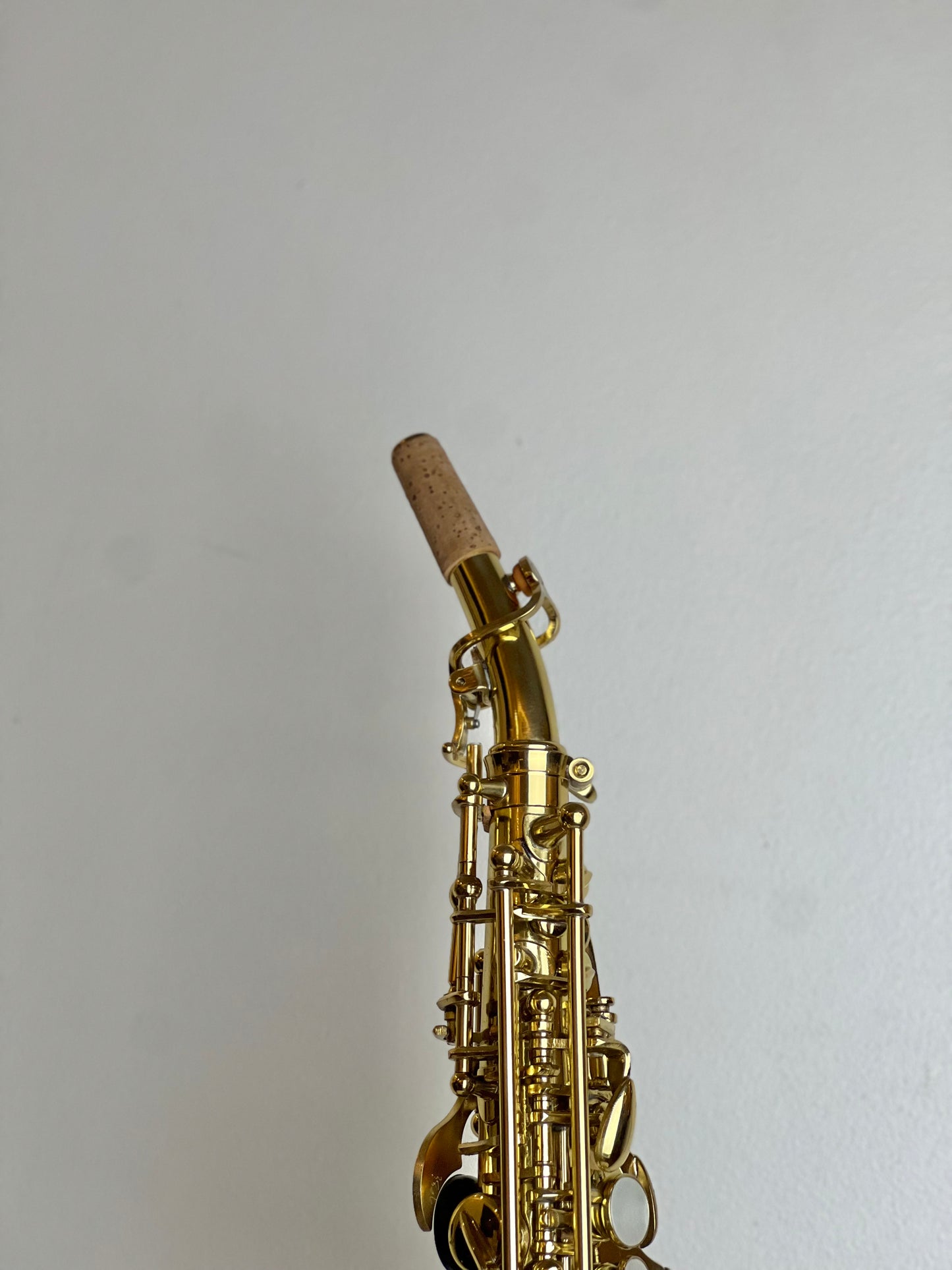 Rookie Straight Soprano Saxophone - Classic Finish