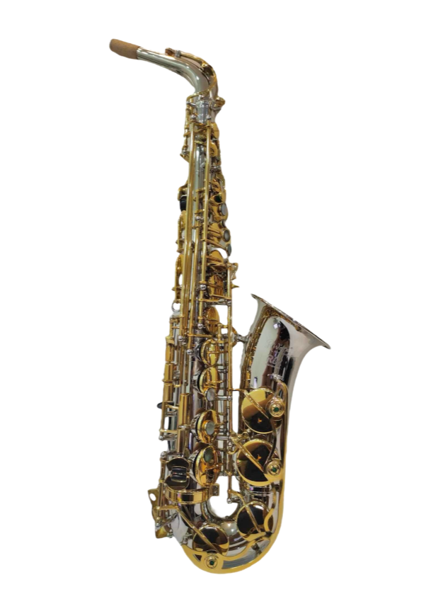 Rivera R62 - Silver & Gold Finish