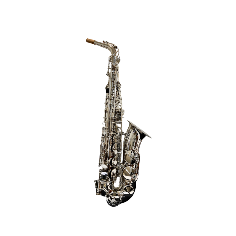 Rookie Alto Saxophone - Nickel Silver Finish
