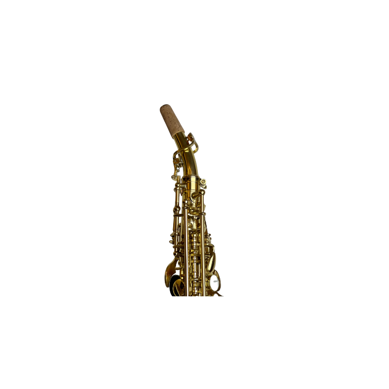 Rookie Straight Soprano Saxophone - Classic Finish