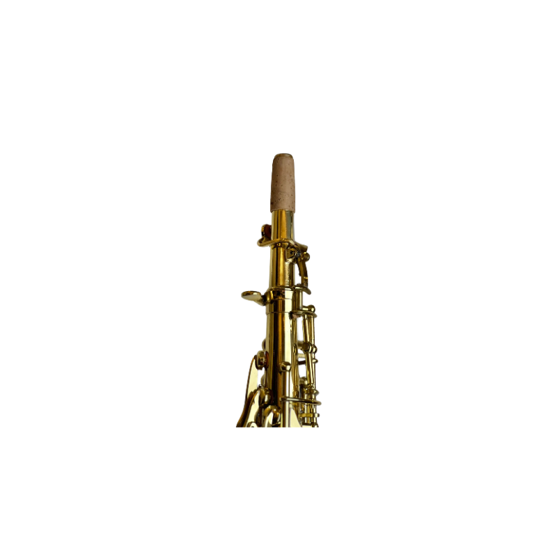 Rookie Straight Soprano Saxophone - Classic Finish