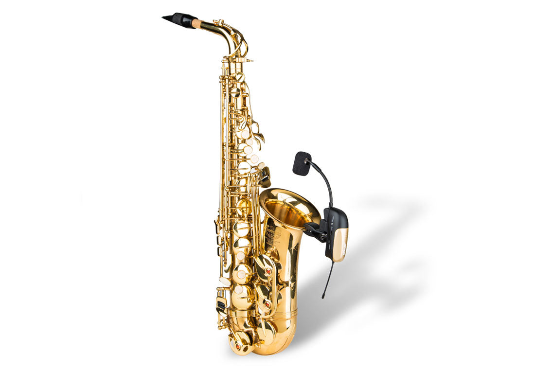 Acemic ST-4/Pr-8 Echo