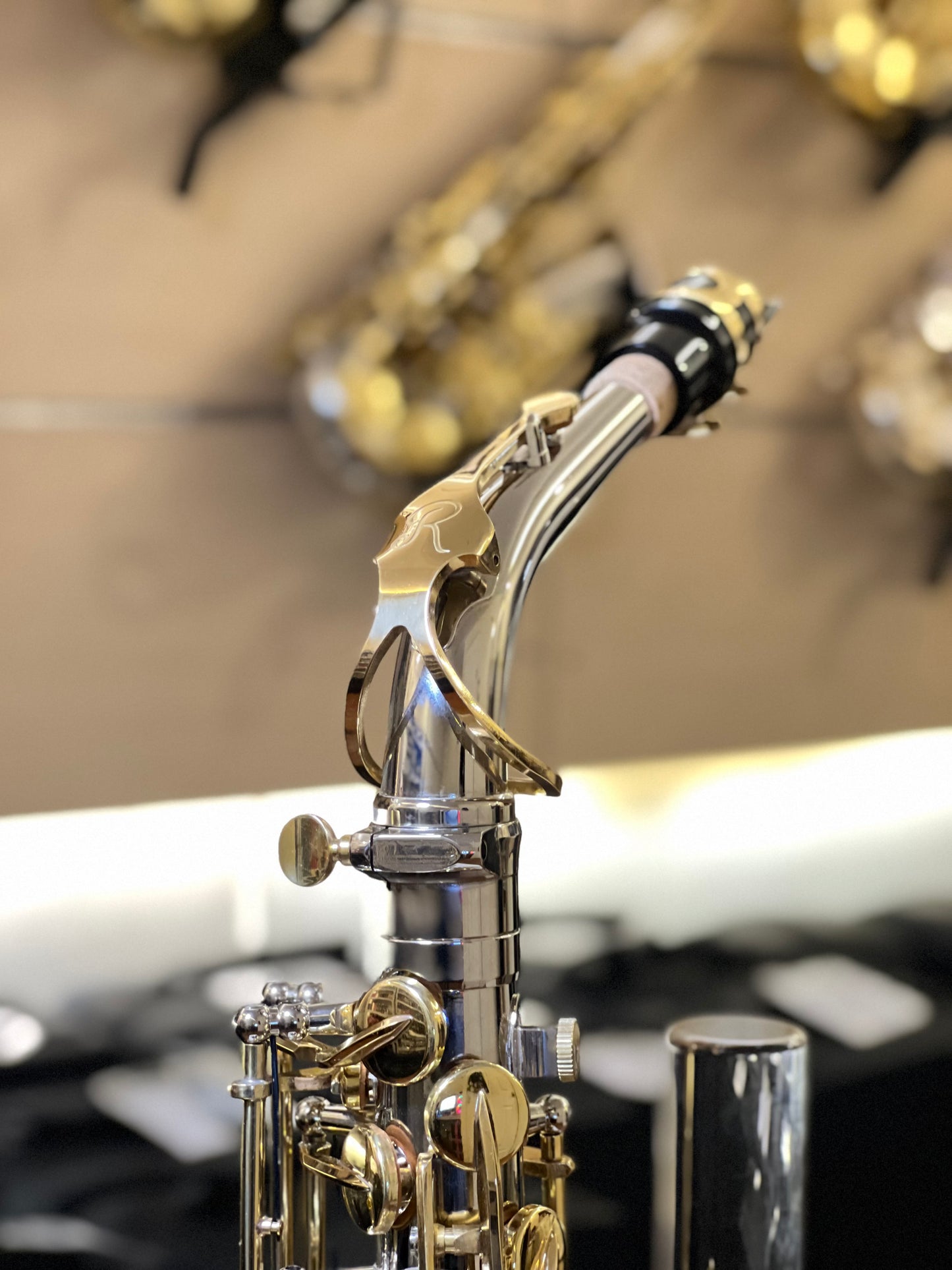 Rivera R62 Alto Saxophone - Silver & Gold Finish