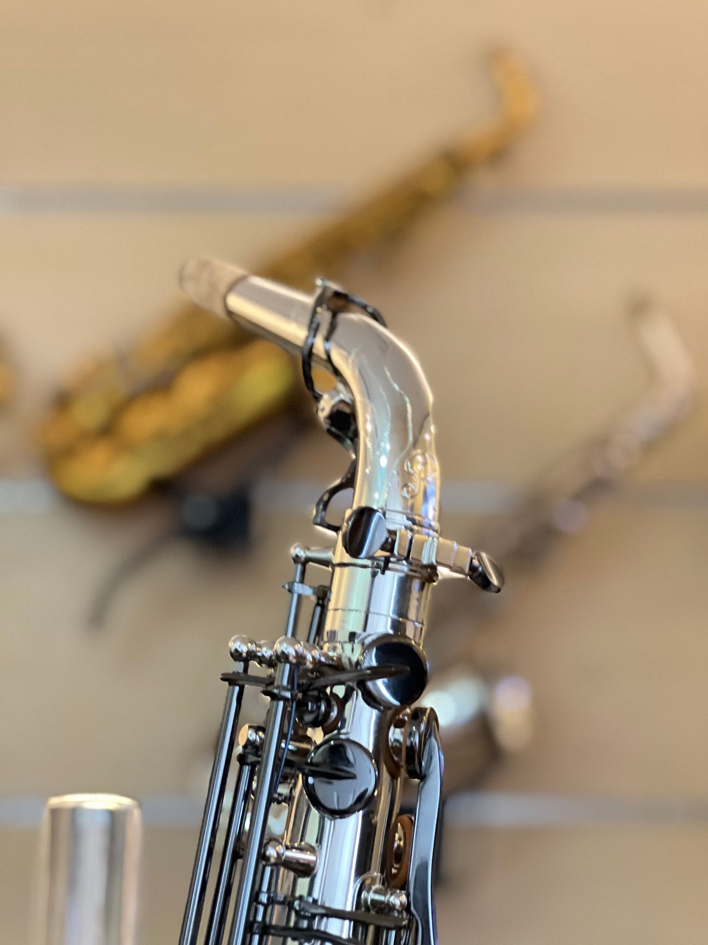Rivera SB20 Alto Saxophone - 2Tone Finish