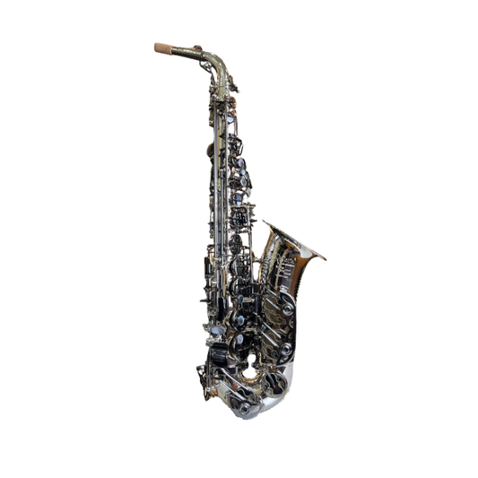 Rivera SB20 Alto Saxophone - 2Tone Finish