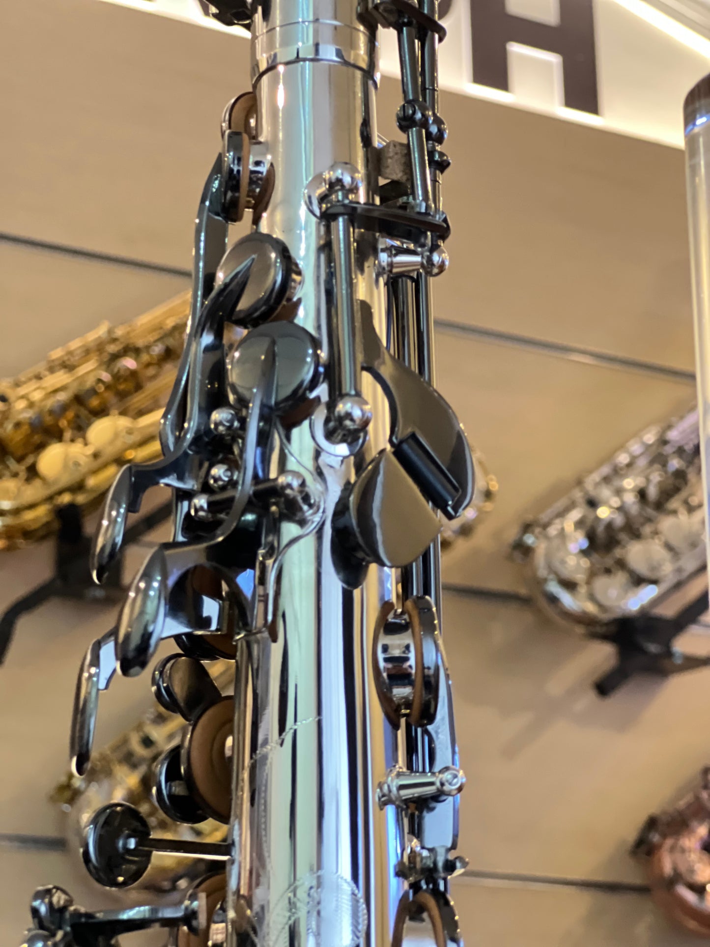 Rivera SB20 Alto Saxophone - 2Tone Finish