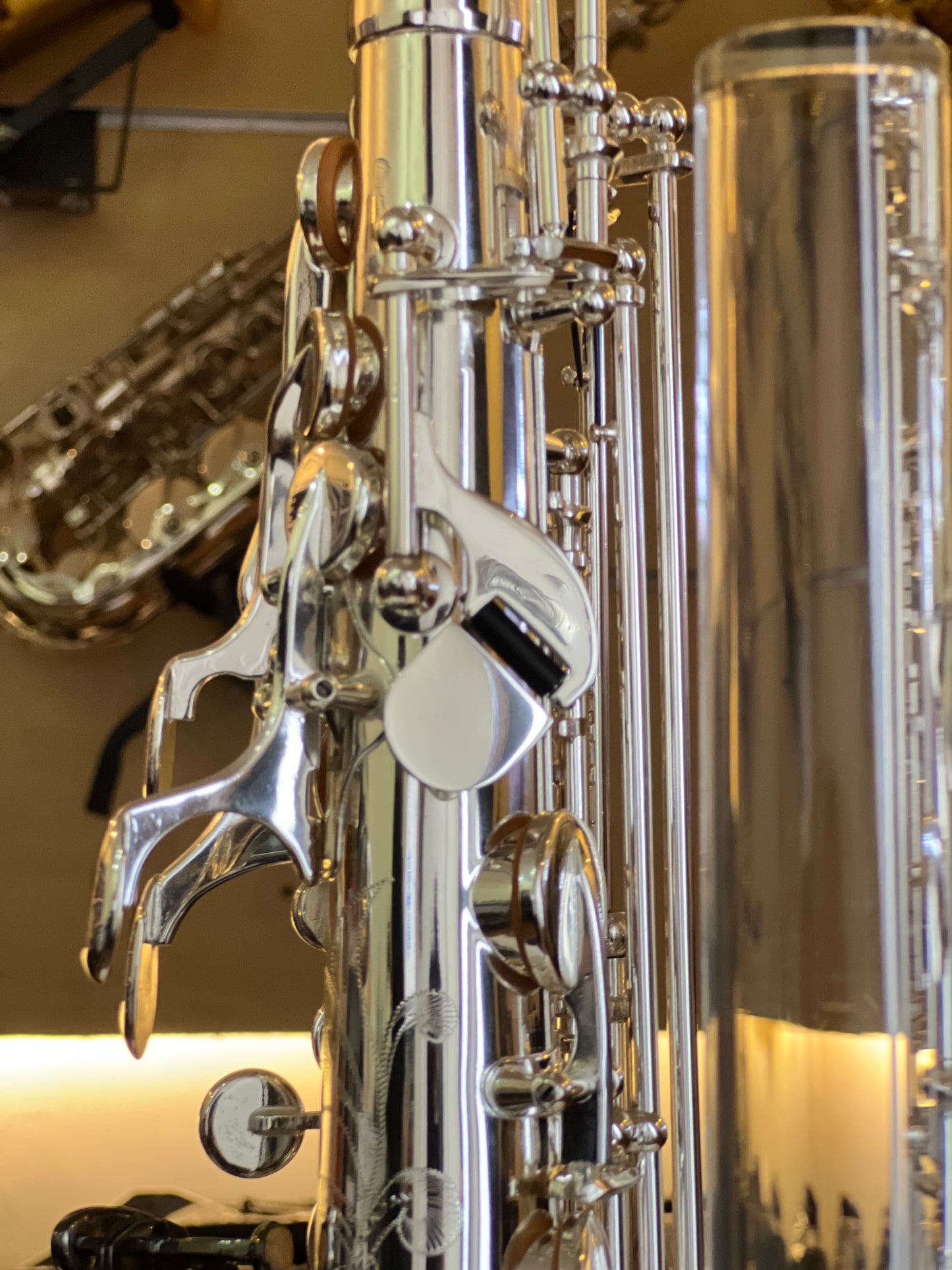 Rivera SB20 Alto Saxophone - YinYang Finish