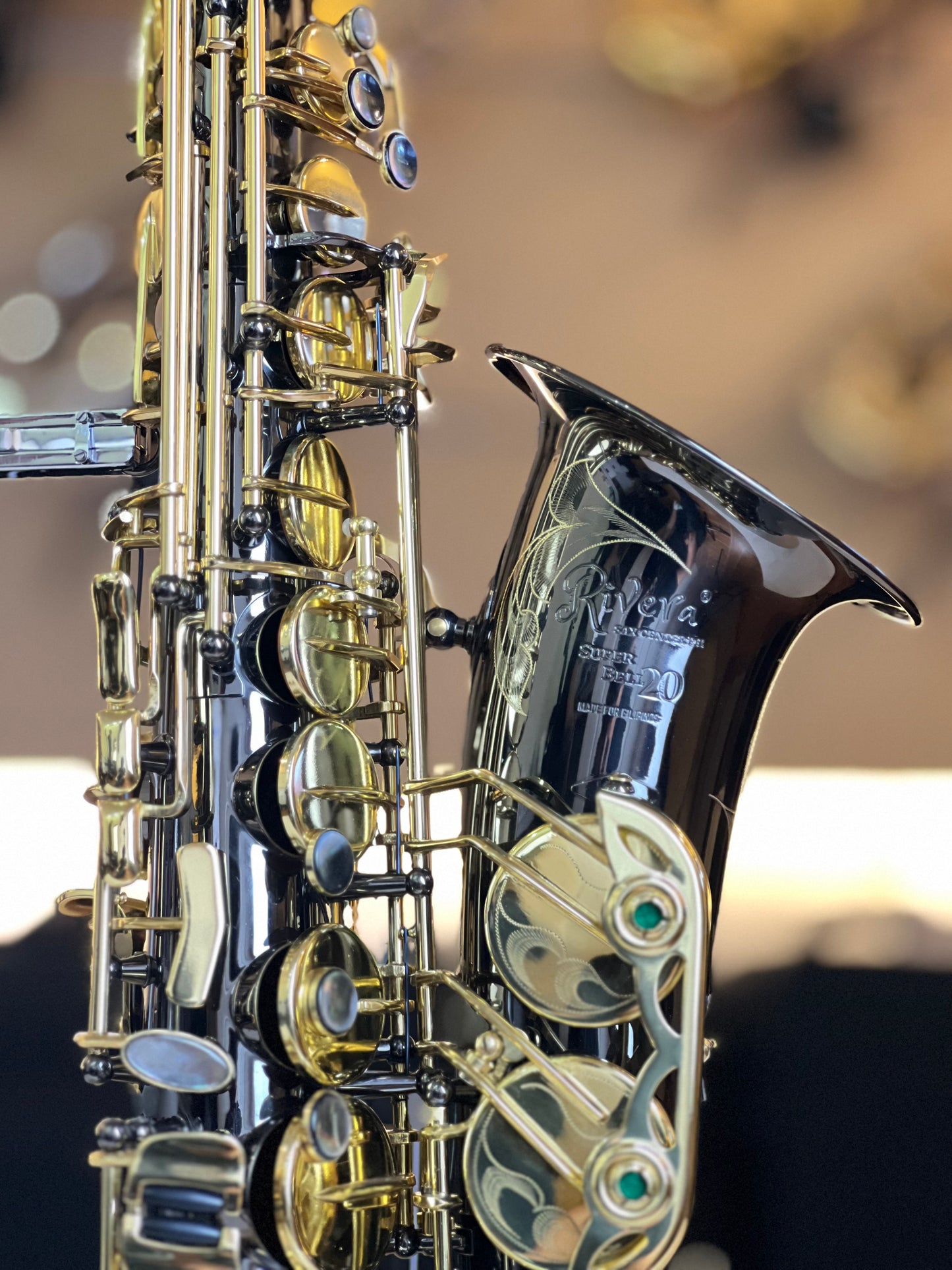 Rivera SB20 Alto Saxophone - Black & Gold