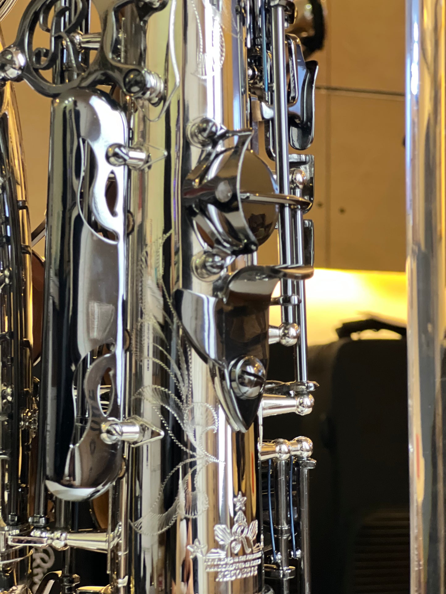 Rivera SB20 Alto Saxophone - 2Tone Finish