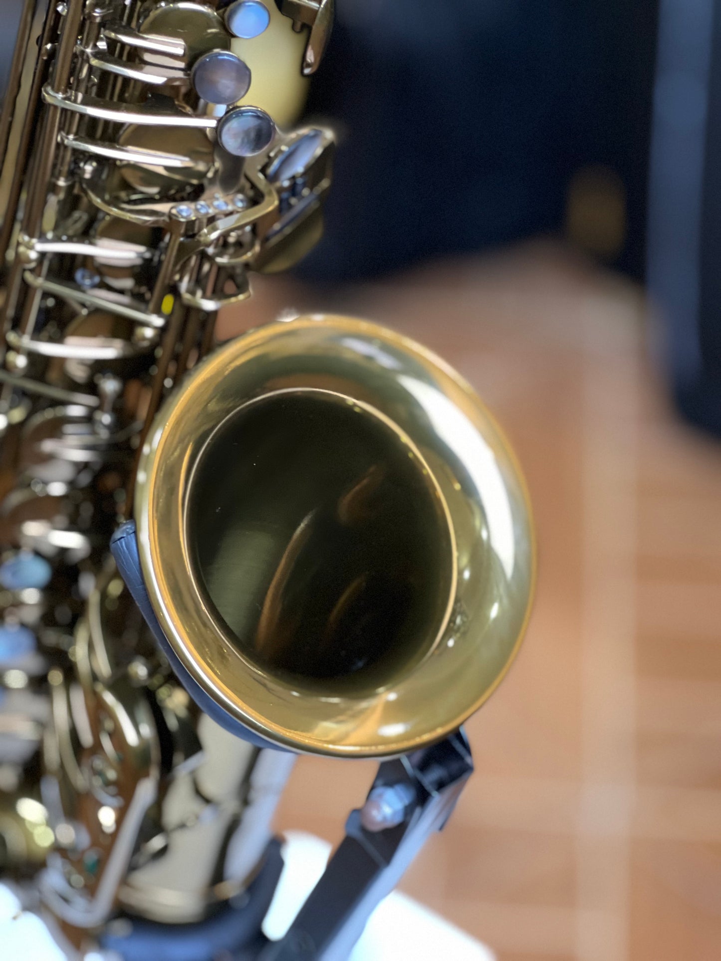 Rivera SB20 Alto Saxophone - Cognac Lacquer