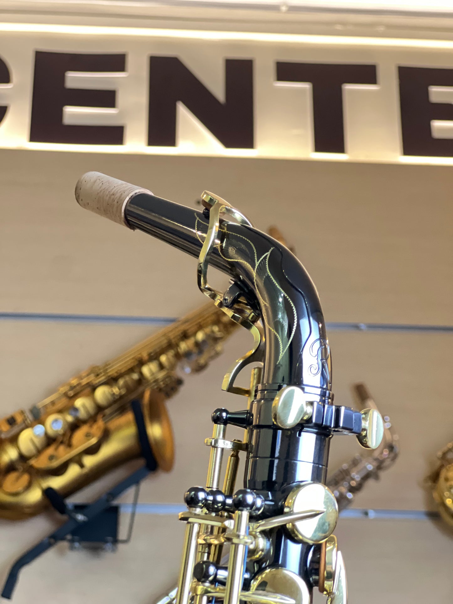 Rivera SB20 Alto Saxophone - Black & Gold