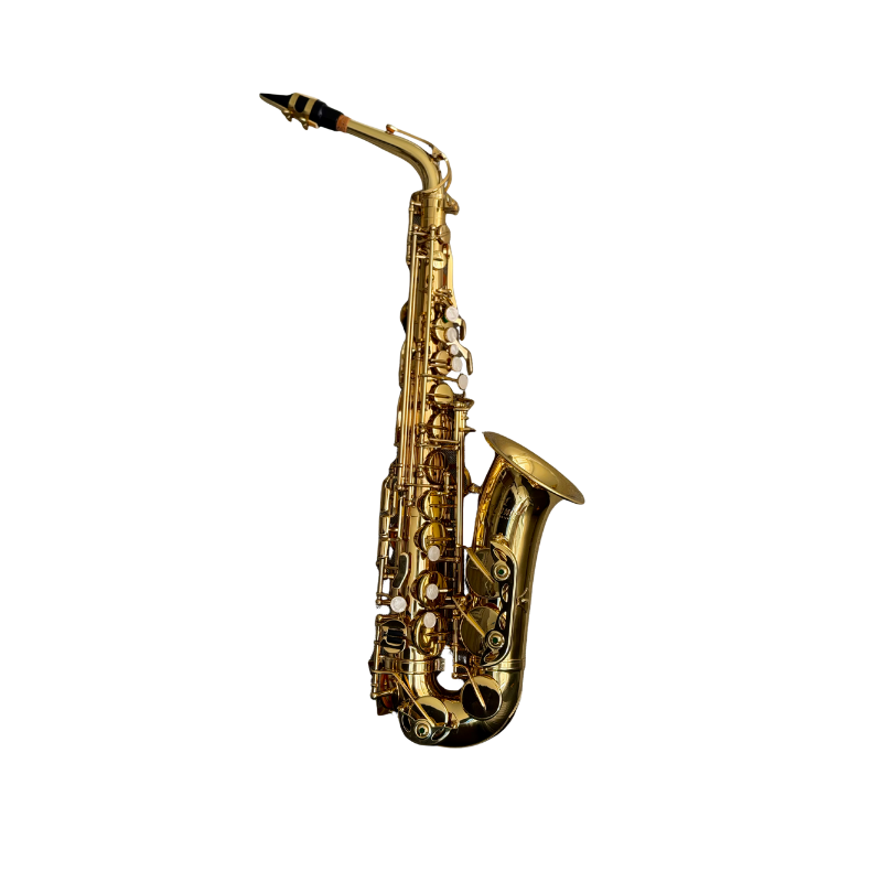 Kaihip Alto Saxophone - Classic Finish