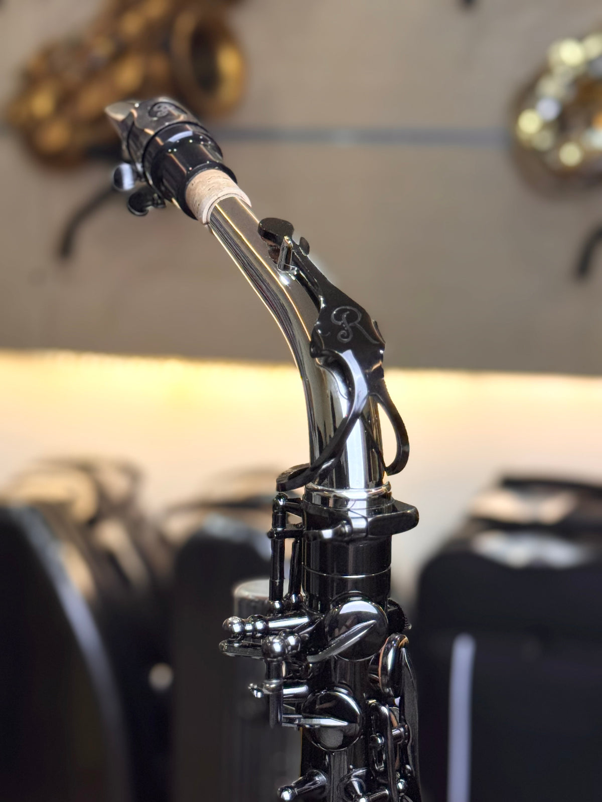 Rivera R62 Alto Saxophone - Silver Black Finish