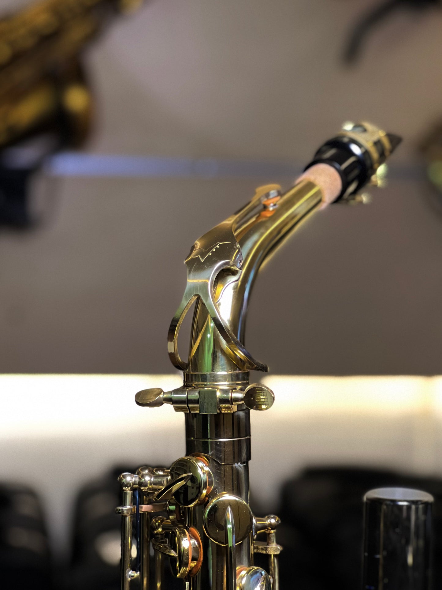Kaihip Alto Saxophone - Classic Finish