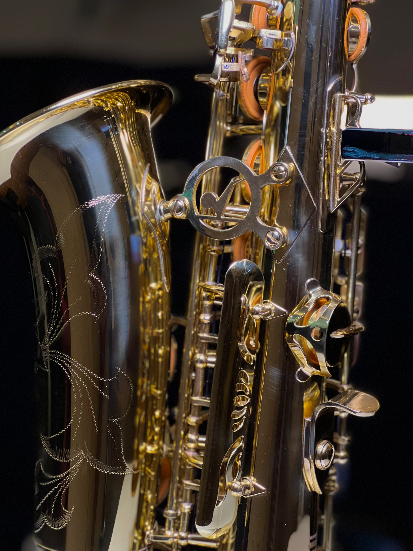 Kaihip Alto Saxophone - Classic Finish