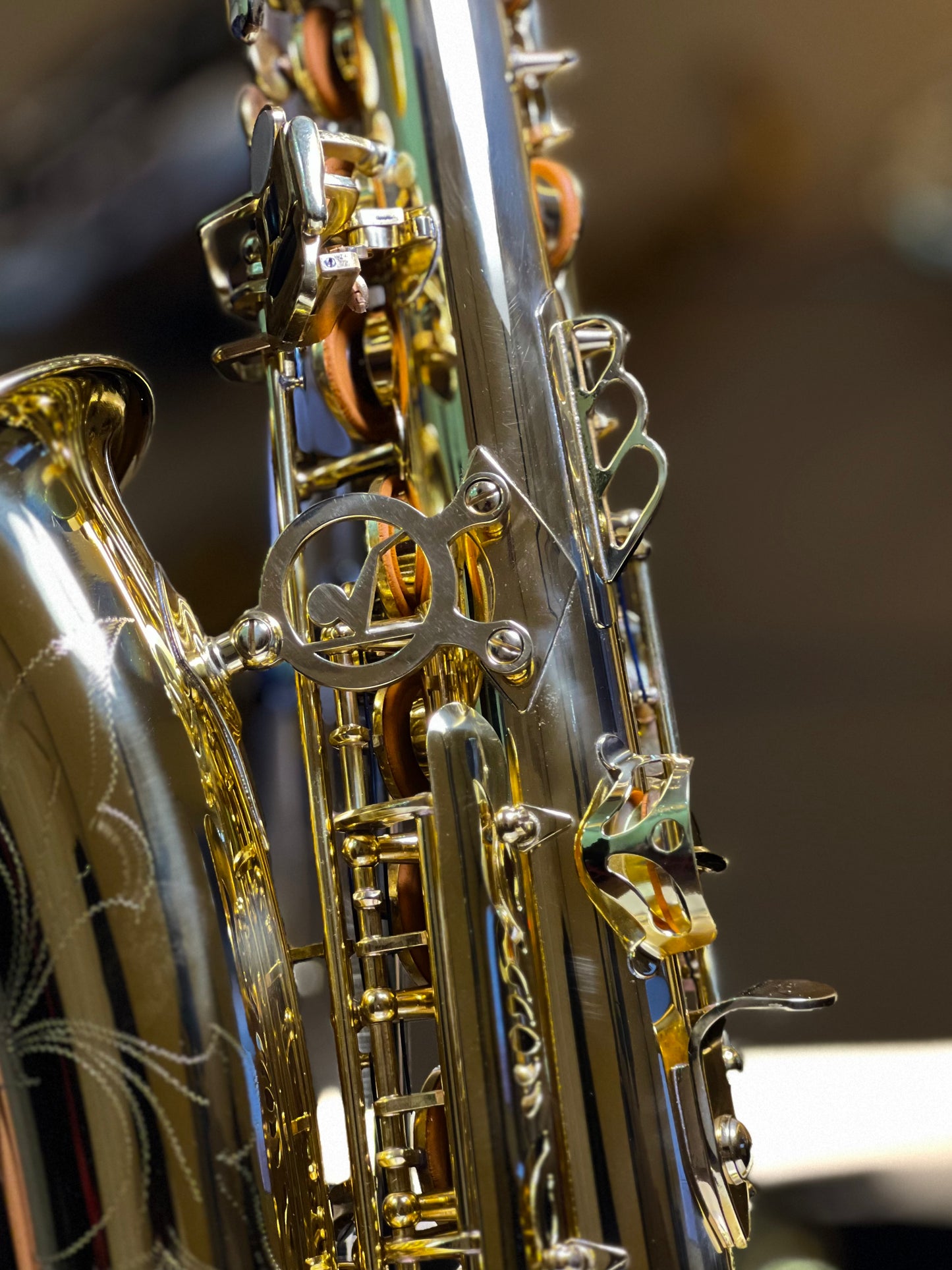 Kaihip Alto Saxophone - Classic Finish