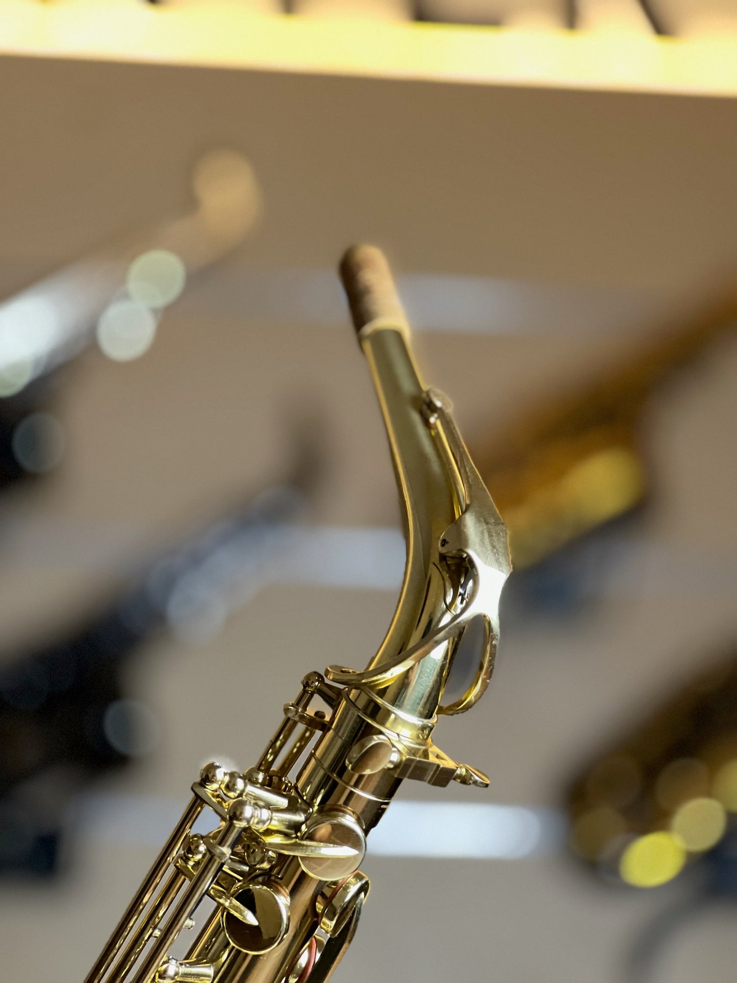 Fernando Alto Saxophone - Made in China