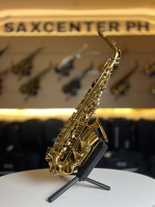 Rivera Custom Z Alto Saxophone - Gold Lacquer Finish