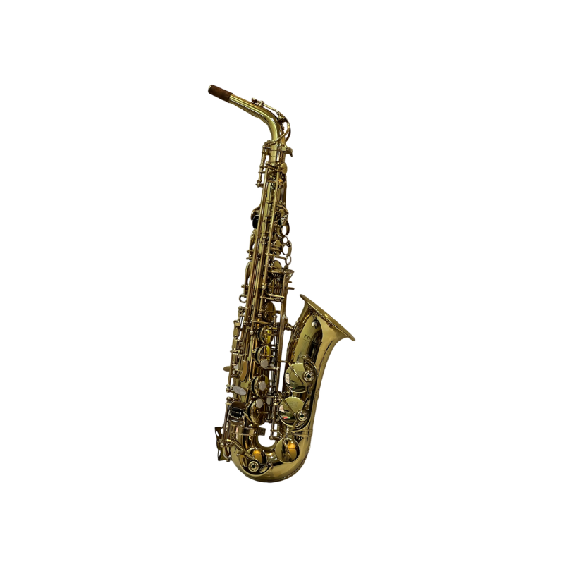 Rookie Alto Saxophone - Classic Finish