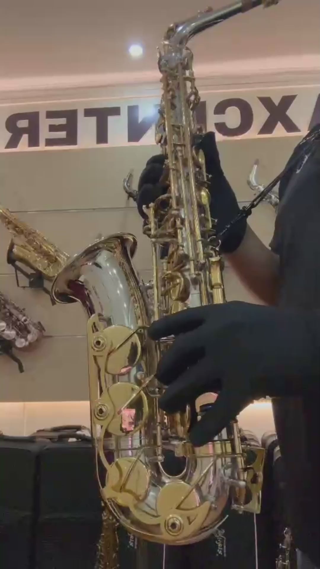 Rivera R62 Alto Saxophone - Silver & Gold Finish – Saxophone