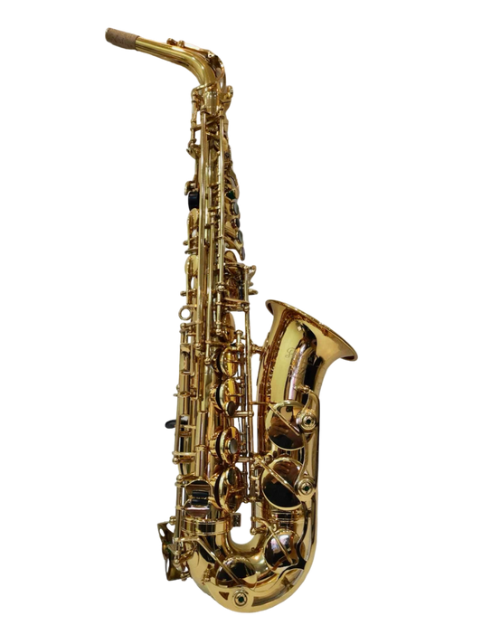 Rivera R62 - Gold Finish